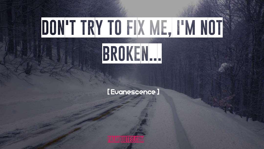 Evanescence Quotes: Don't try to fix me,