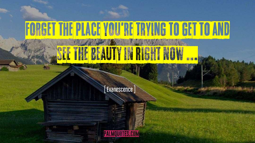Evanescence Quotes: Forget the place you're trying