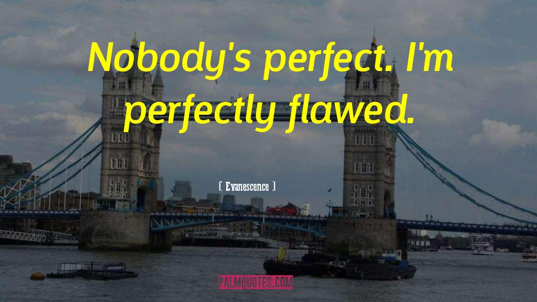 Evanescence Quotes: Nobody's perfect. I'm perfectly flawed.
