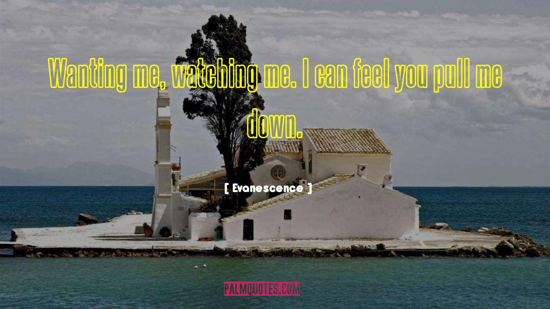 Evanescence Quotes: Wanting me, watching me. I