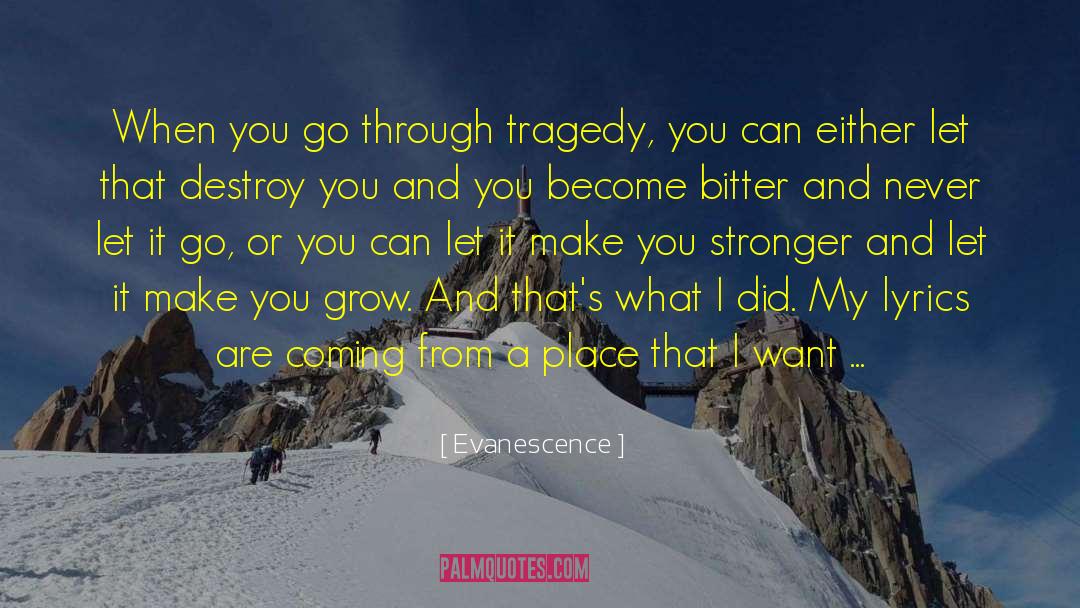 Evanescence Quotes: When you go through tragedy,