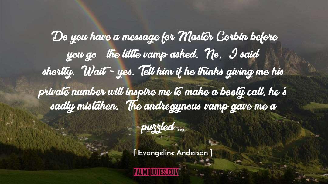 Evangeline Anderson Quotes: Do you have a message