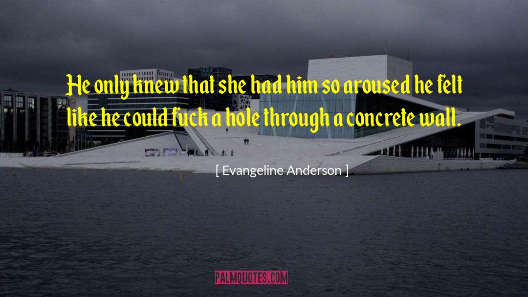 Evangeline Anderson Quotes: He only knew that she