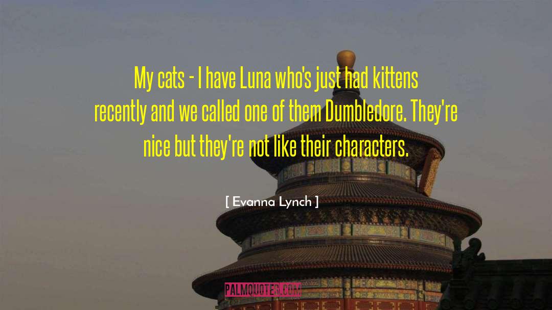 Evanna Lynch Quotes: My cats - I have