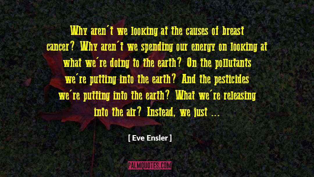 Eve Ensler Quotes: Why aren't we looking at