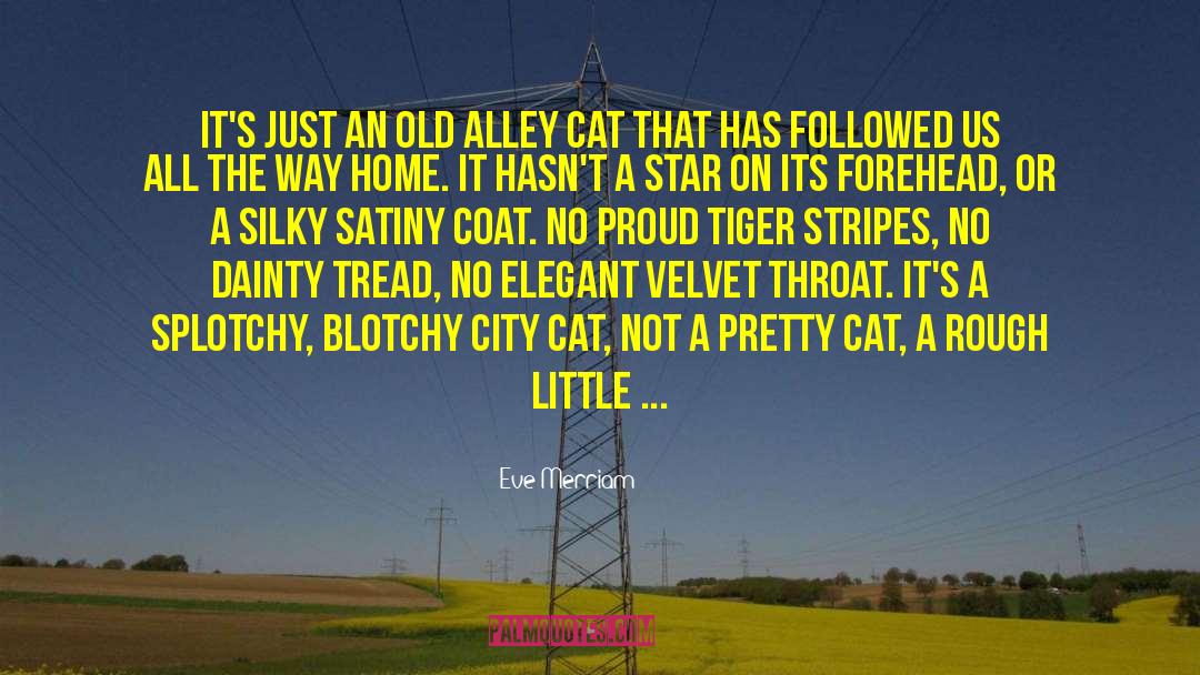 Eve Merriam Quotes: It's just an old alley