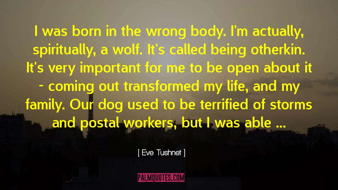 Eve Tushnet Quotes: I was born in the
