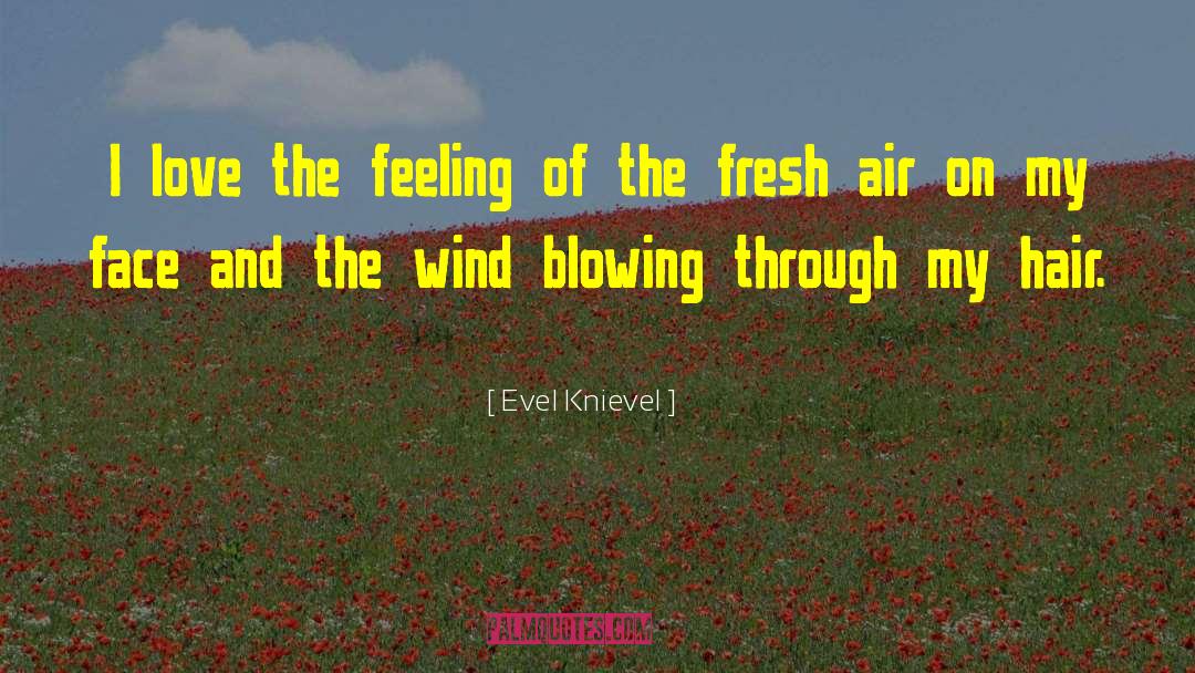 Evel Knievel Quotes: I love the feeling of