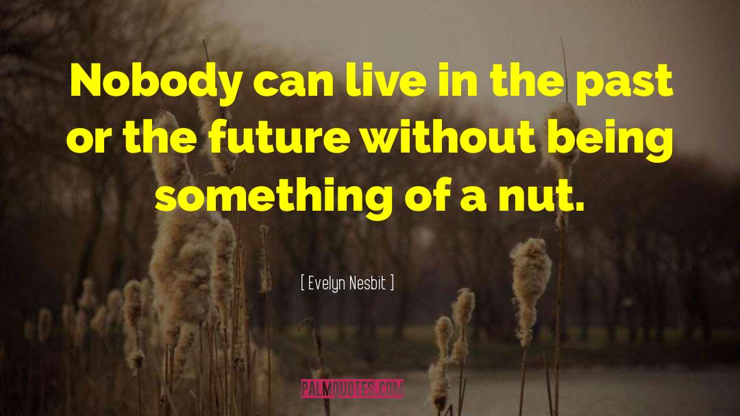 Evelyn Nesbit Quotes: Nobody can live in the