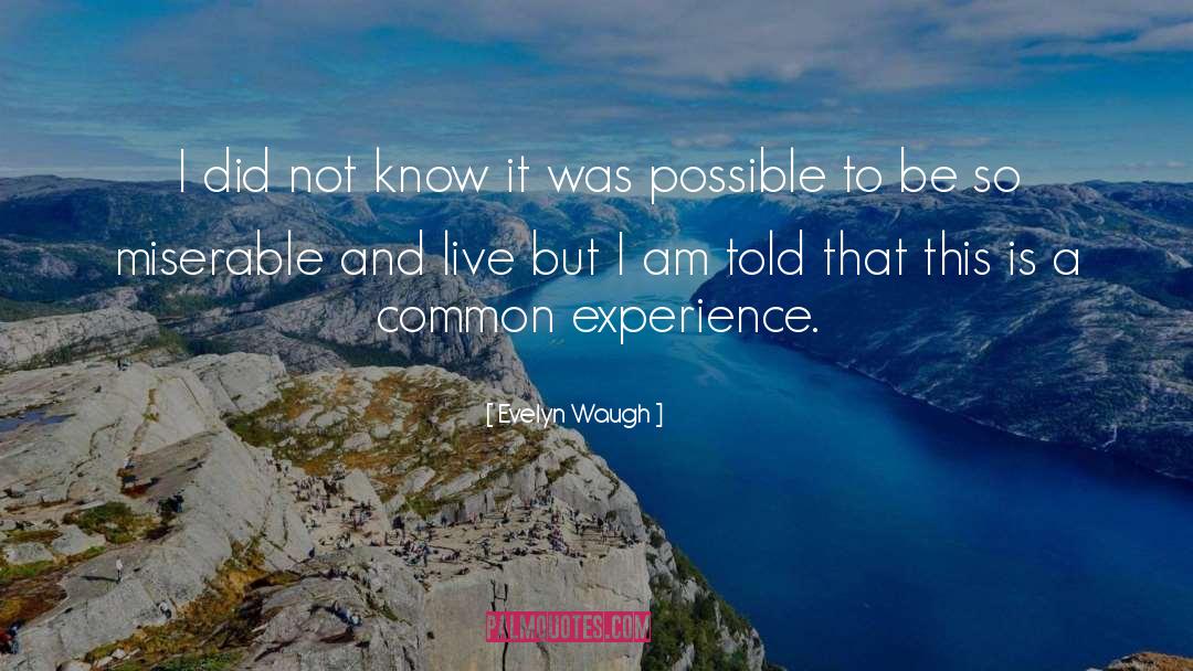 Evelyn Waugh Quotes: I did not know it