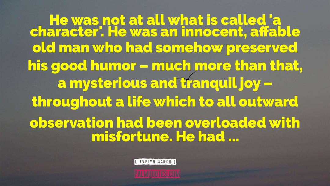 Evelyn Waugh Quotes: He was not at all