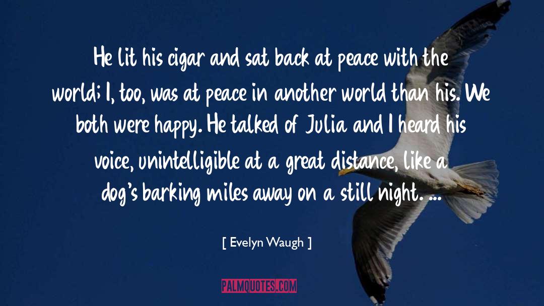 Evelyn Waugh Quotes: He lit his cigar and