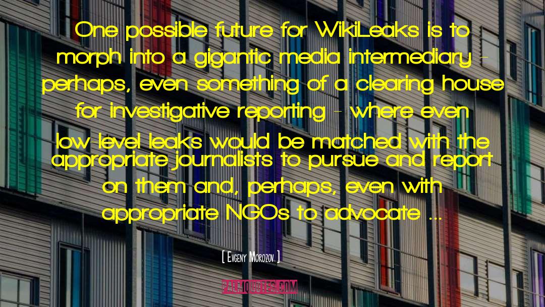 Evgeny Morozov Quotes: One possible future for WikiLeaks