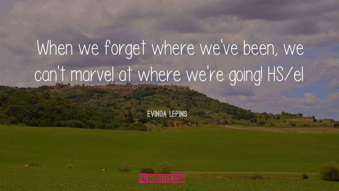 Evinda Lepins Quotes: When we forget where we've