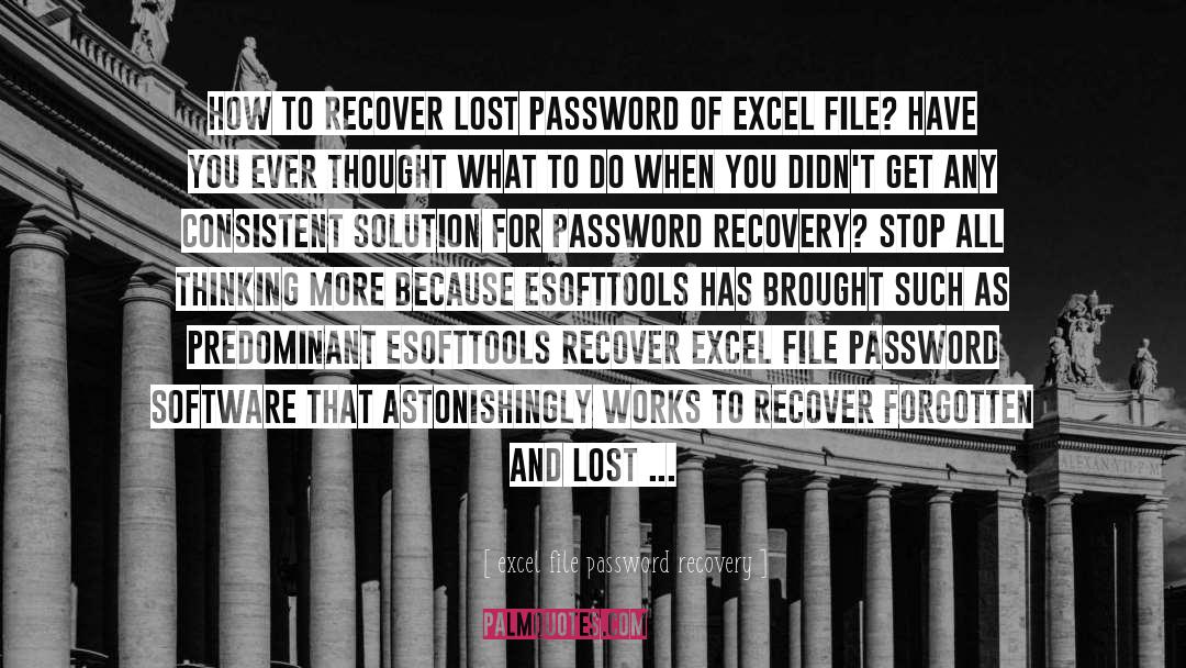 Excel File Password Recovery Quotes: How to recover lost password