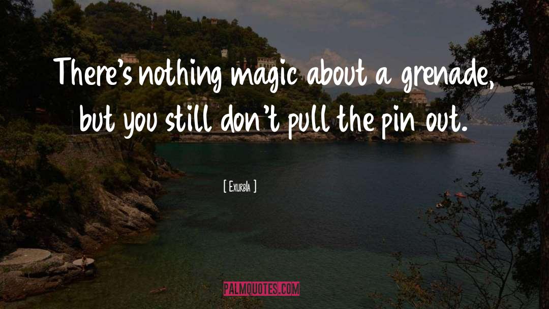 Exurb1a Quotes: There's nothing magic about a
