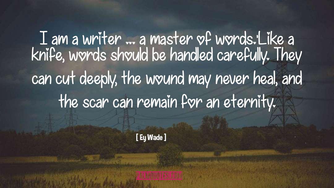 Ey Wade Quotes: I am a writer ...