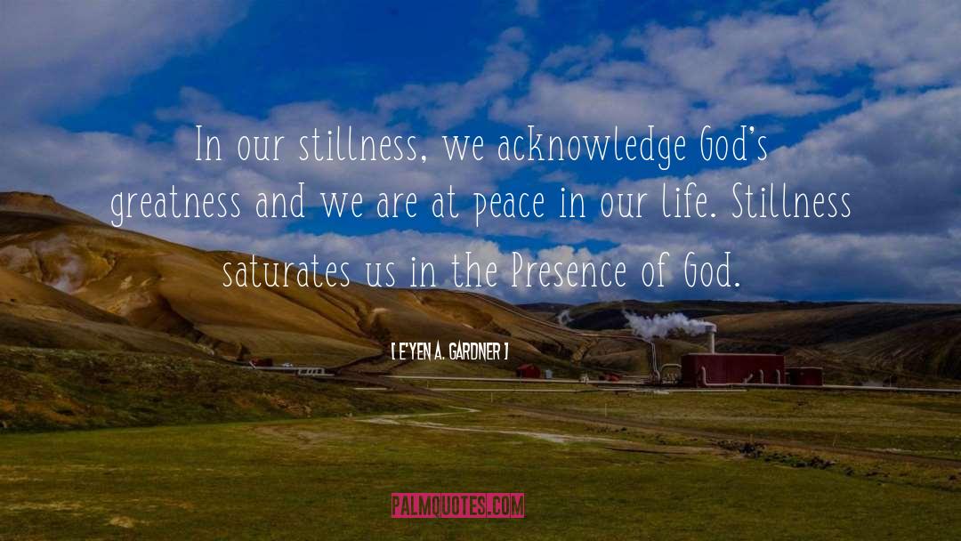 E'yen A. Gardner Quotes: In our stillness, we acknowledge