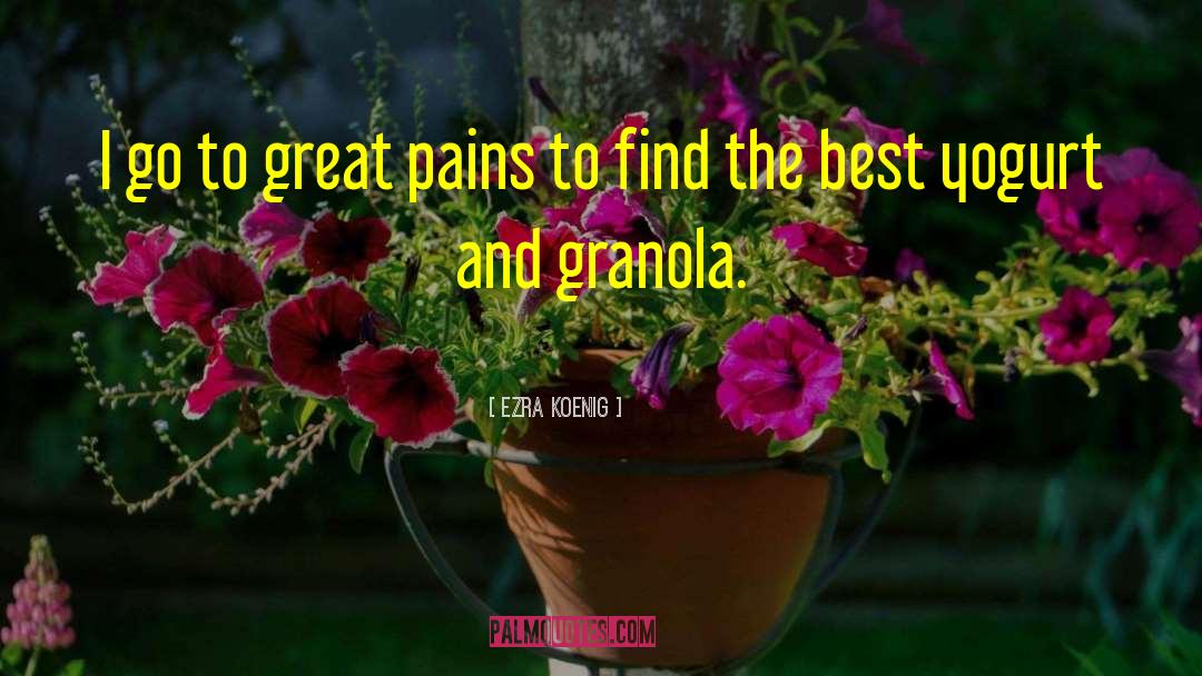 Ezra Koenig Quotes: I go to great pains