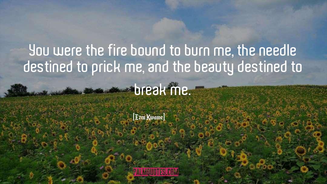 Ezra Kwame Quotes: You were the fire bound