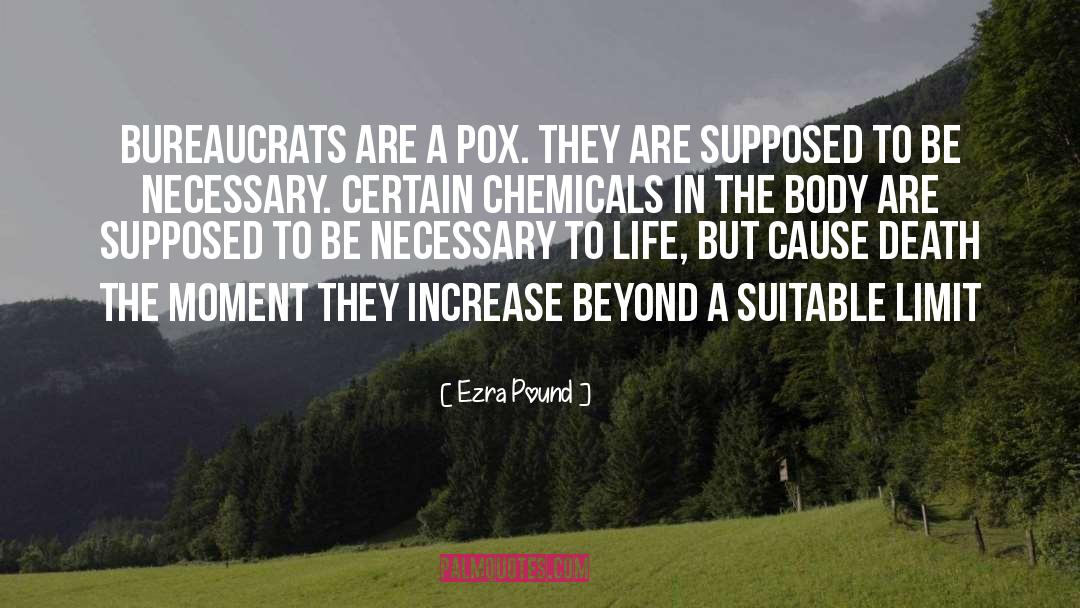 Ezra Pound Quotes: Bureaucrats are a pox. They