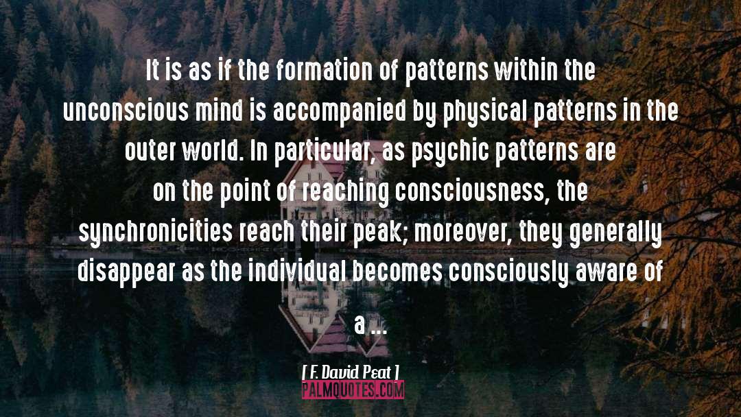 F. David Peat Quotes: It is as if the