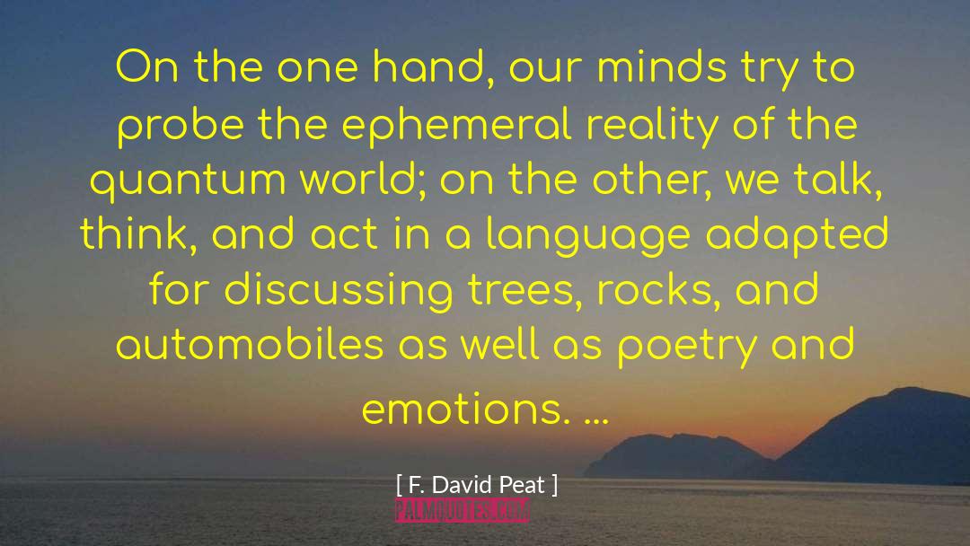 F. David Peat Quotes: On the one hand, our