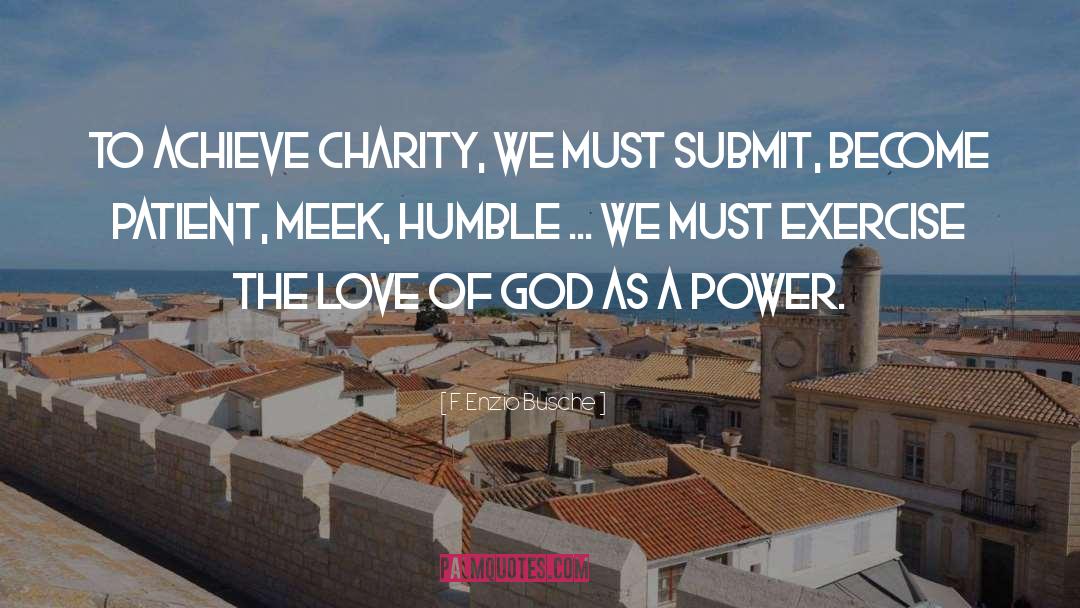 F. Enzio Busche Quotes: To achieve charity, we must