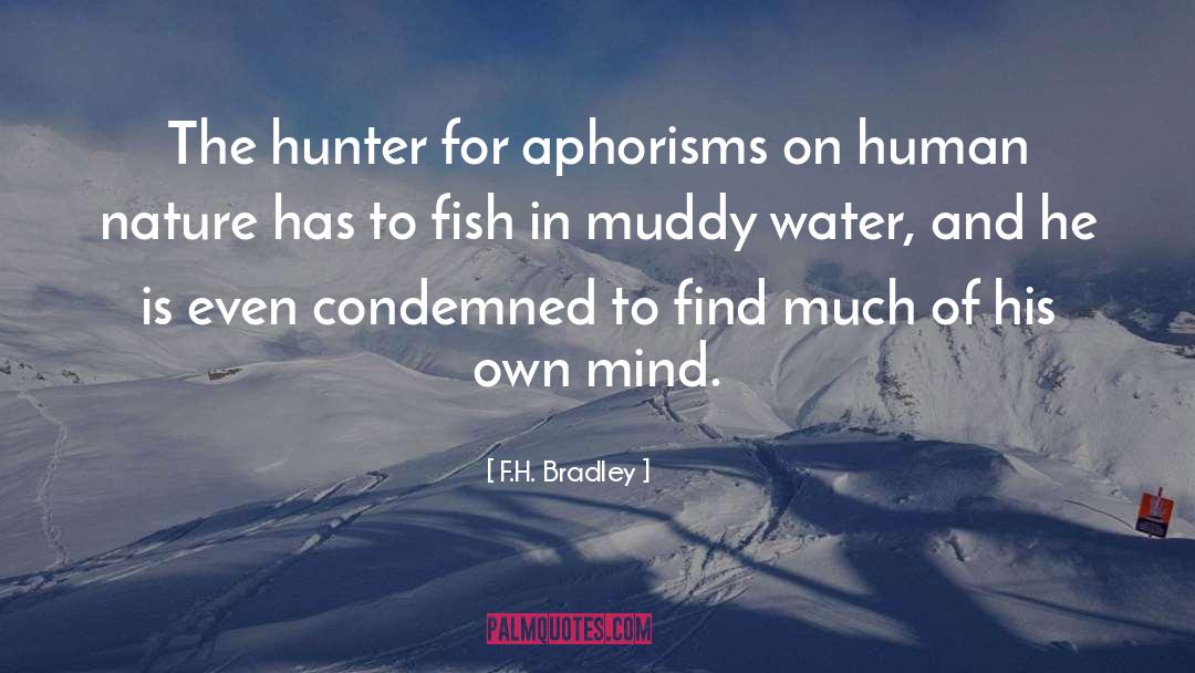 F.H. Bradley Quotes: The hunter for aphorisms on