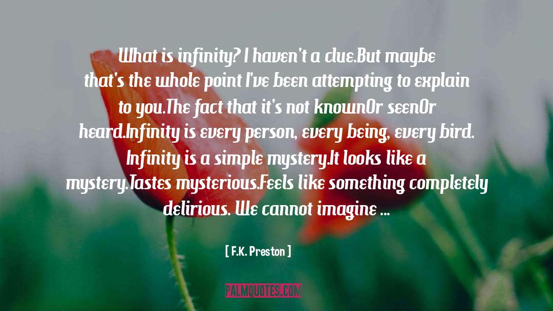 F.K. Preston Quotes: What is infinity? I haven't