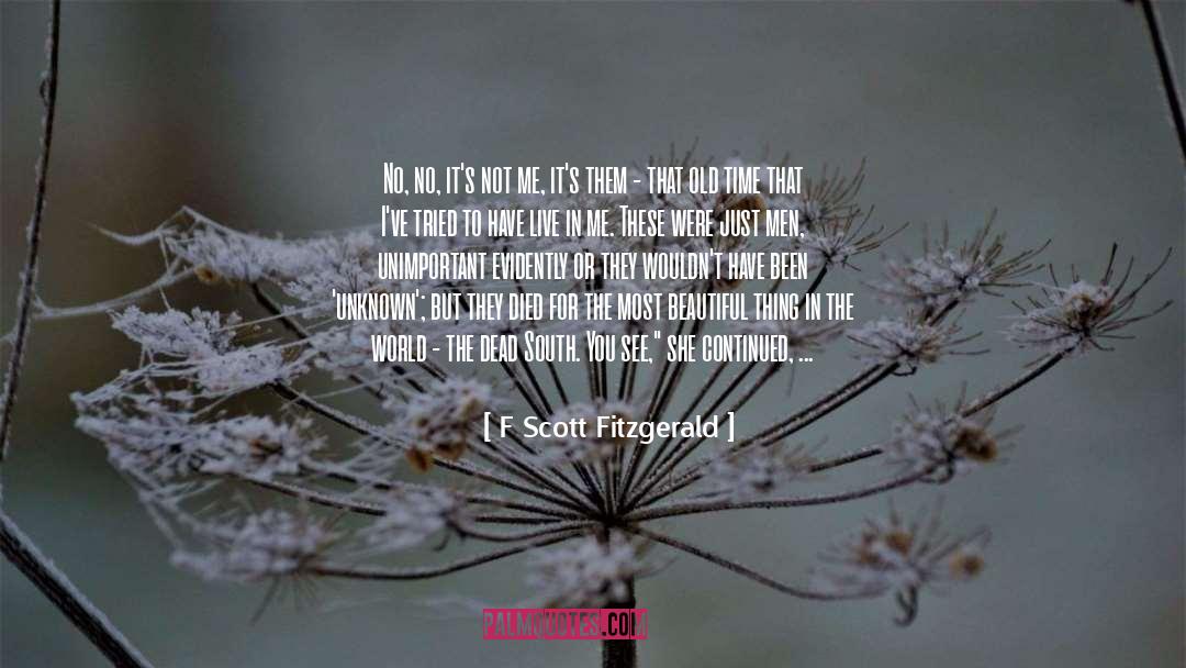 F Scott Fitzgerald Quotes: No, no, it's not me,