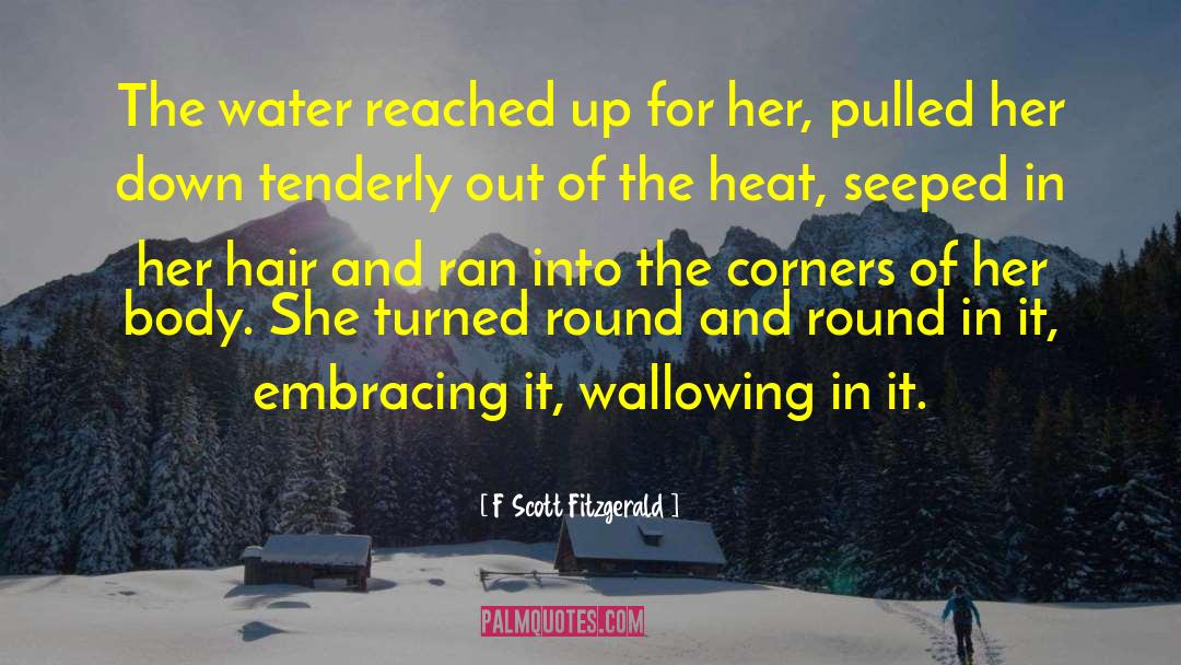 F Scott Fitzgerald Quotes: The water reached up for