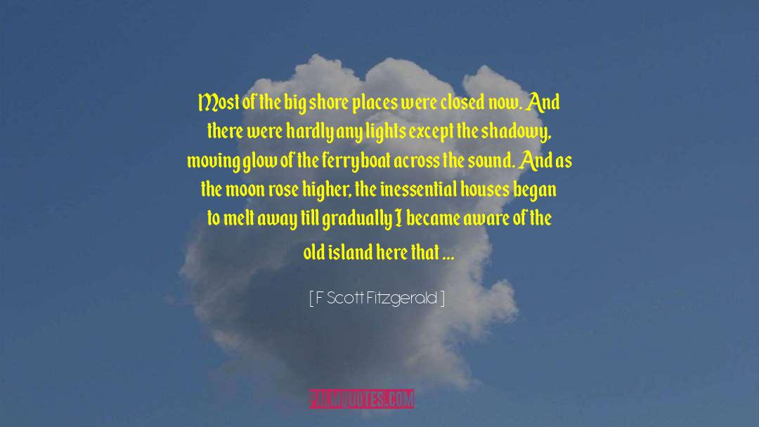 F Scott Fitzgerald Quotes: Most of the big shore