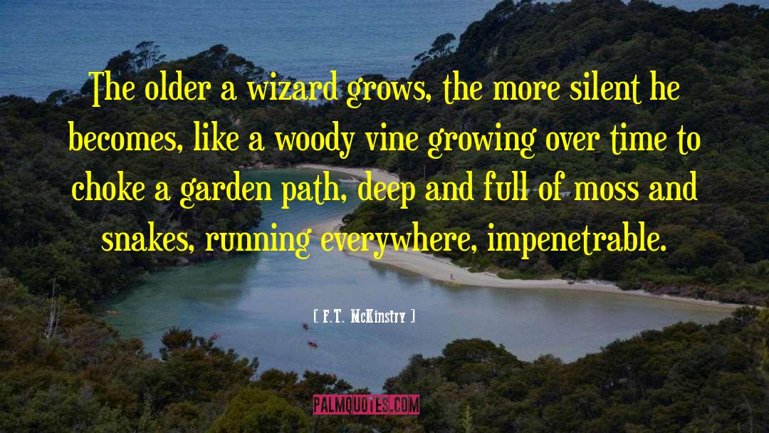 F.T. McKinstry Quotes: The older a wizard grows,