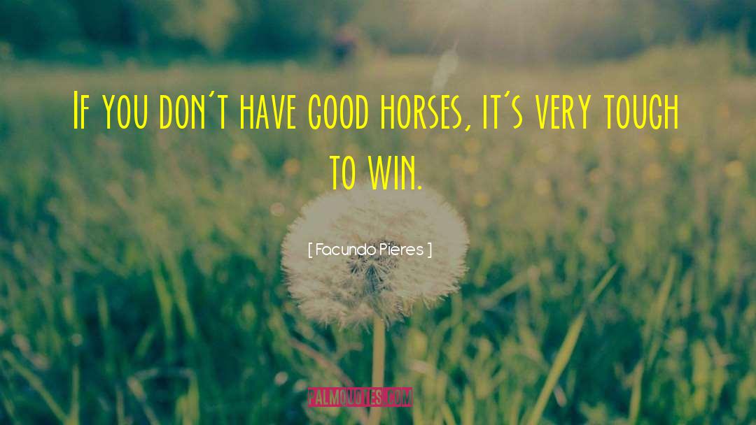 Facundo Pieres Quotes: If you don't have good