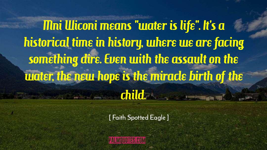 Faith Spotted Eagle Quotes: Mni Wiconi means 