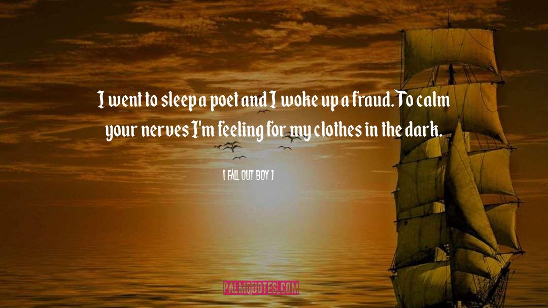 Fall Out Boy Quotes: I went to sleep a