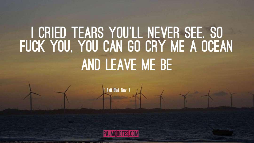 Fall Out Boy Quotes: I cried tears you'll never