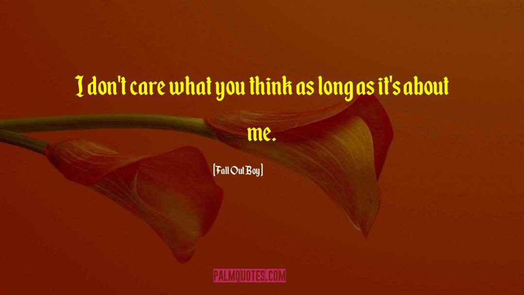 Fall Out Boy Quotes: I don't care what you
