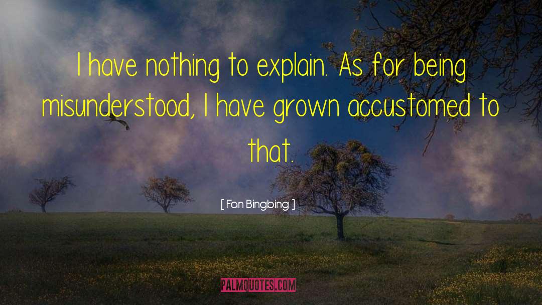 Fan Bingbing Quotes: I have nothing to explain.