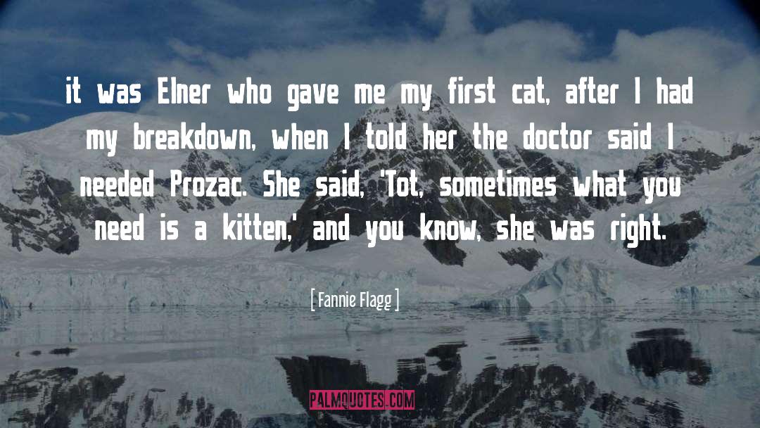 Fannie Flagg Quotes: it was Elner who gave