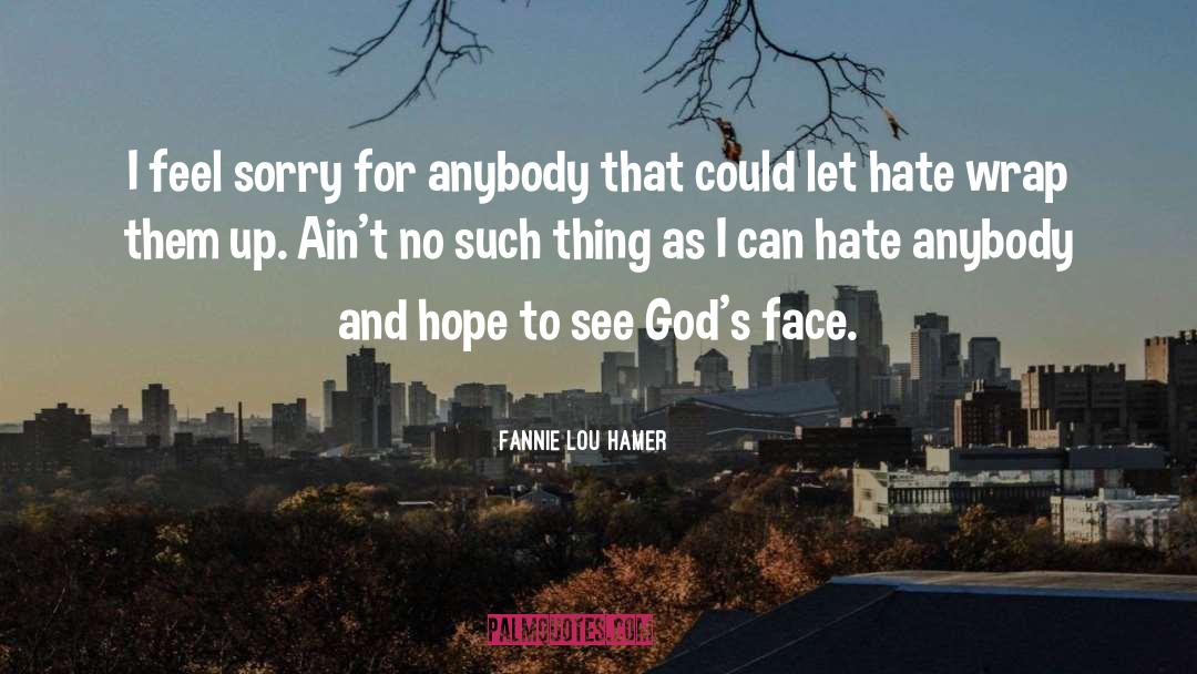 Fannie Lou Hamer Quotes: I feel sorry for anybody