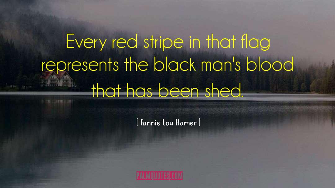 Fannie Lou Hamer Quotes: Every red stripe in that
