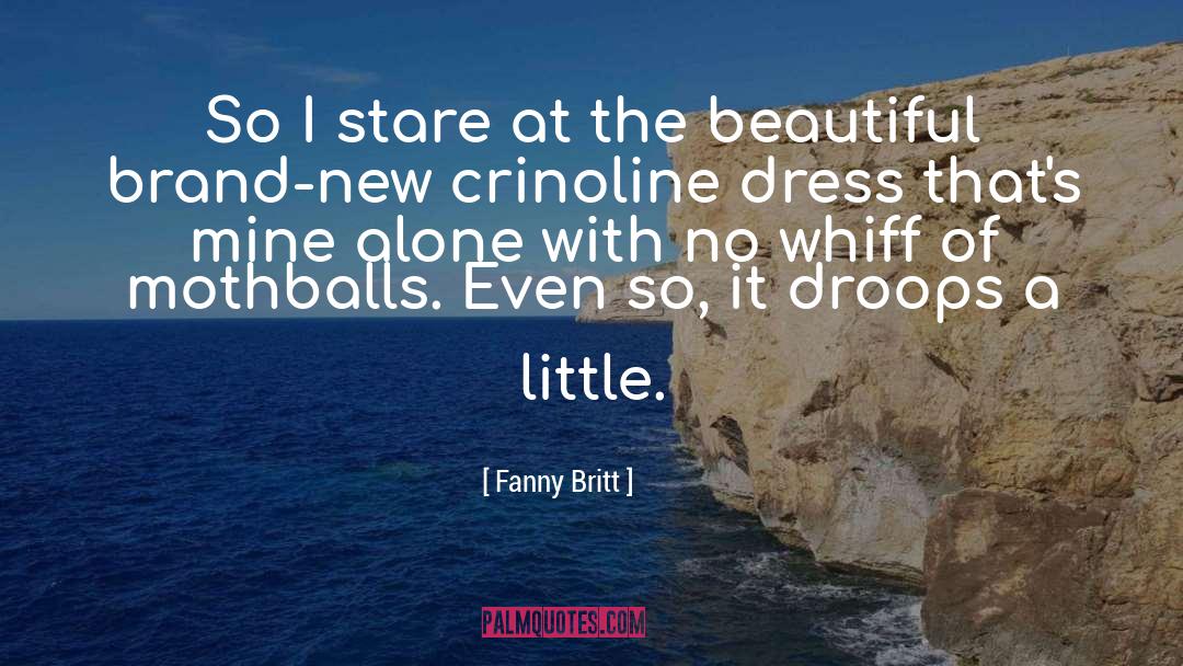 Fanny Britt Quotes: So I stare at the