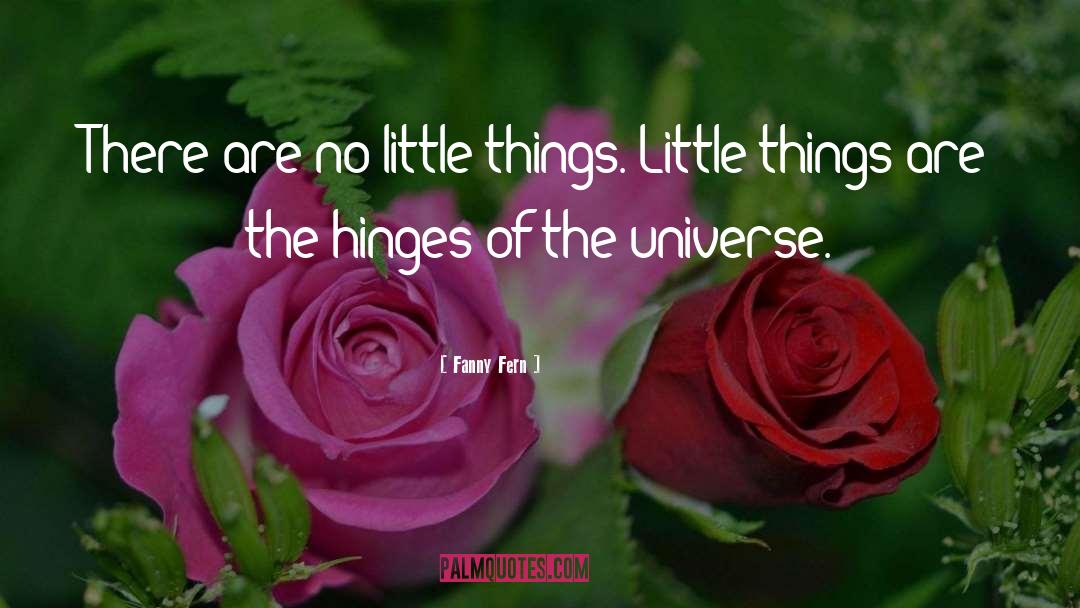 Fanny Fern Quotes: There are no little things.