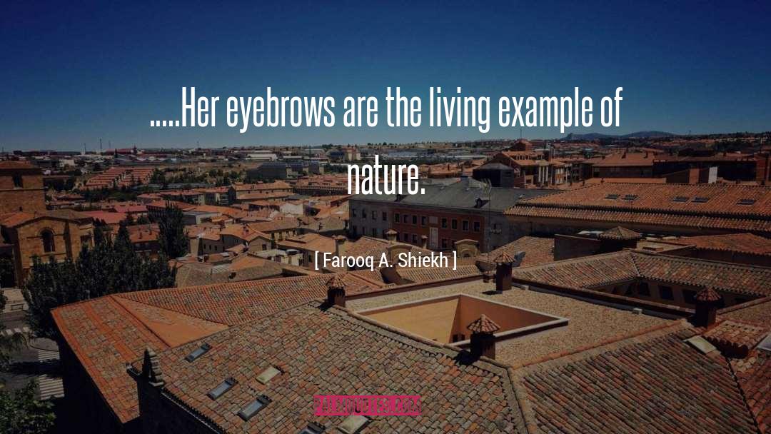 Farooq A. Shiekh Quotes: .....Her eyebrows are the living