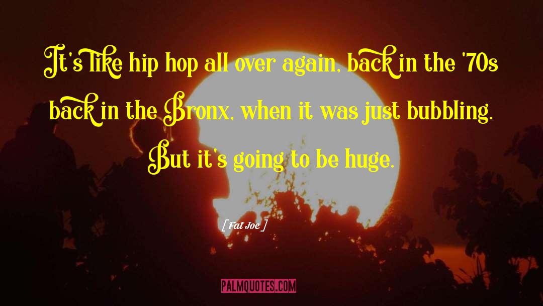 Fat Joe Quotes: It's like hip hop all