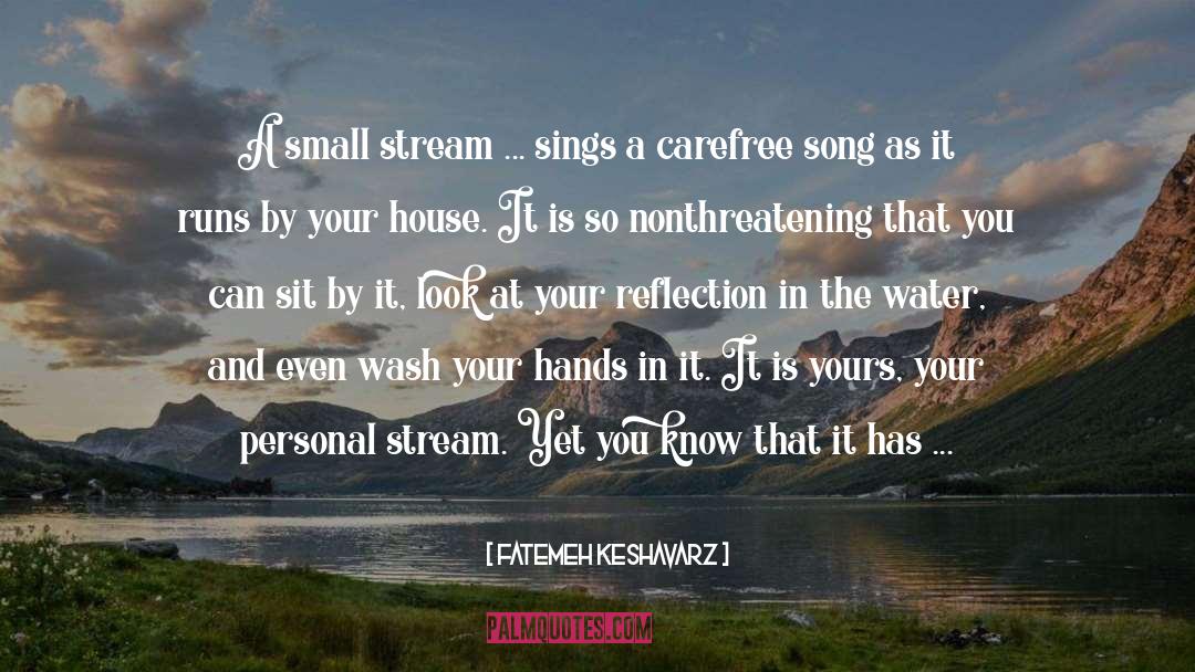 Fatemeh Keshavarz Quotes: A small stream ... sings