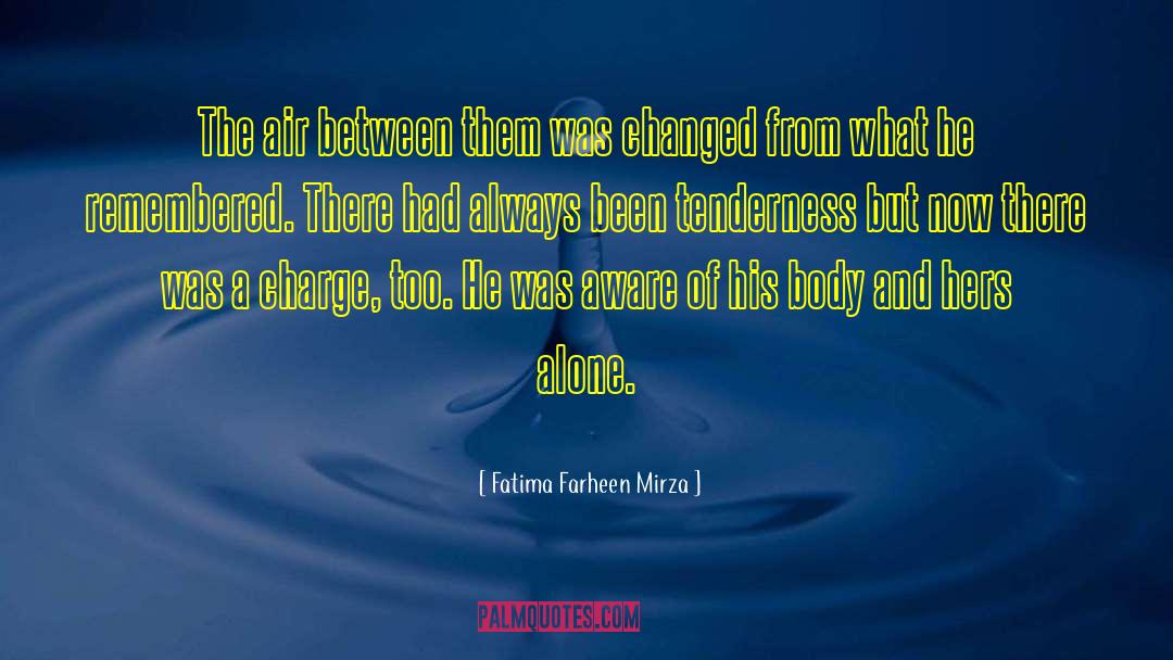 Fatima Farheen Mirza Quotes: The air between them was