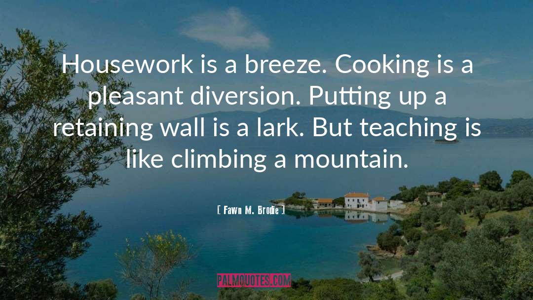 Fawn M. Brodie Quotes: Housework is a breeze. Cooking